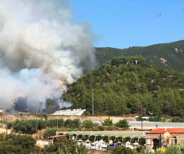 Πυρκαγιά-σε-δασική-έκταση-στο-Ελαιοχώρι-Καβάλας